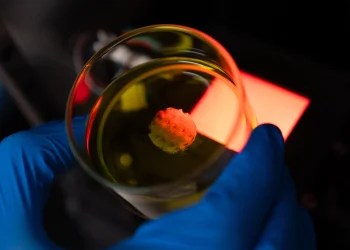 “3D” хэвлэгчээр хүний эд эрхтэнг хэвлэх боломжтой болно