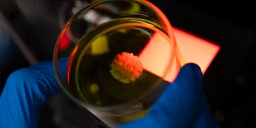 “3D” хэвлэгчээр хүний эд эрхтэнг хэвлэх боломжтой болно