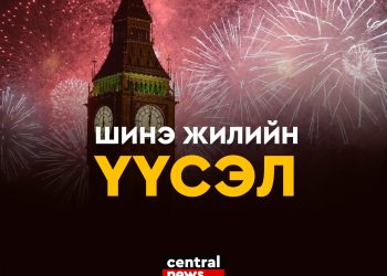 ШИНЭ ЖИЛИЙН ҮҮСЭЛ