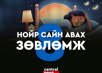 НОЙР САЙН АВАХ 8 ЗӨВЛӨМЖ