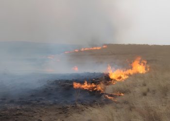 ОЙ, ХЭЭРИЙН ТҮЙМЭР НЭМЭГДЭЖ БАЙНА