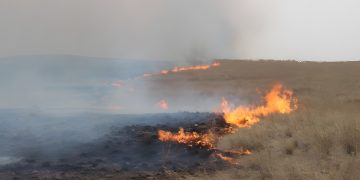 ОЙ, ХЭЭРИЙН ТҮЙМЭР НЭМЭГДЭЖ БАЙНА