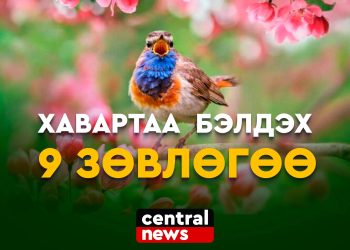 Хавар цагт бэлдэх сэтгэл санаа, эрүүл мэндийн 9 зөвлөгөө