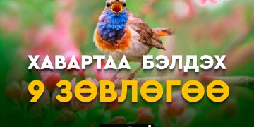 Хавар цагт бэлдэх сэтгэл санаа, эрүүл мэндийн 9 зөвлөгөө